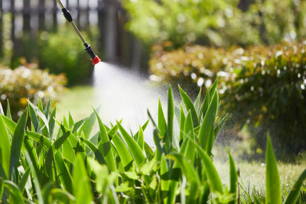 24/7 Emergency Wasp Removal experts in Gettysburg, PA