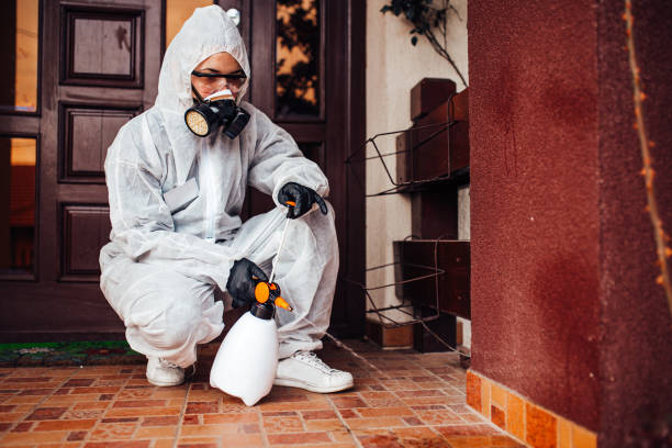 Reliable Wasp Removal contractor in Gettysburg, PA by Show Me Pest Control